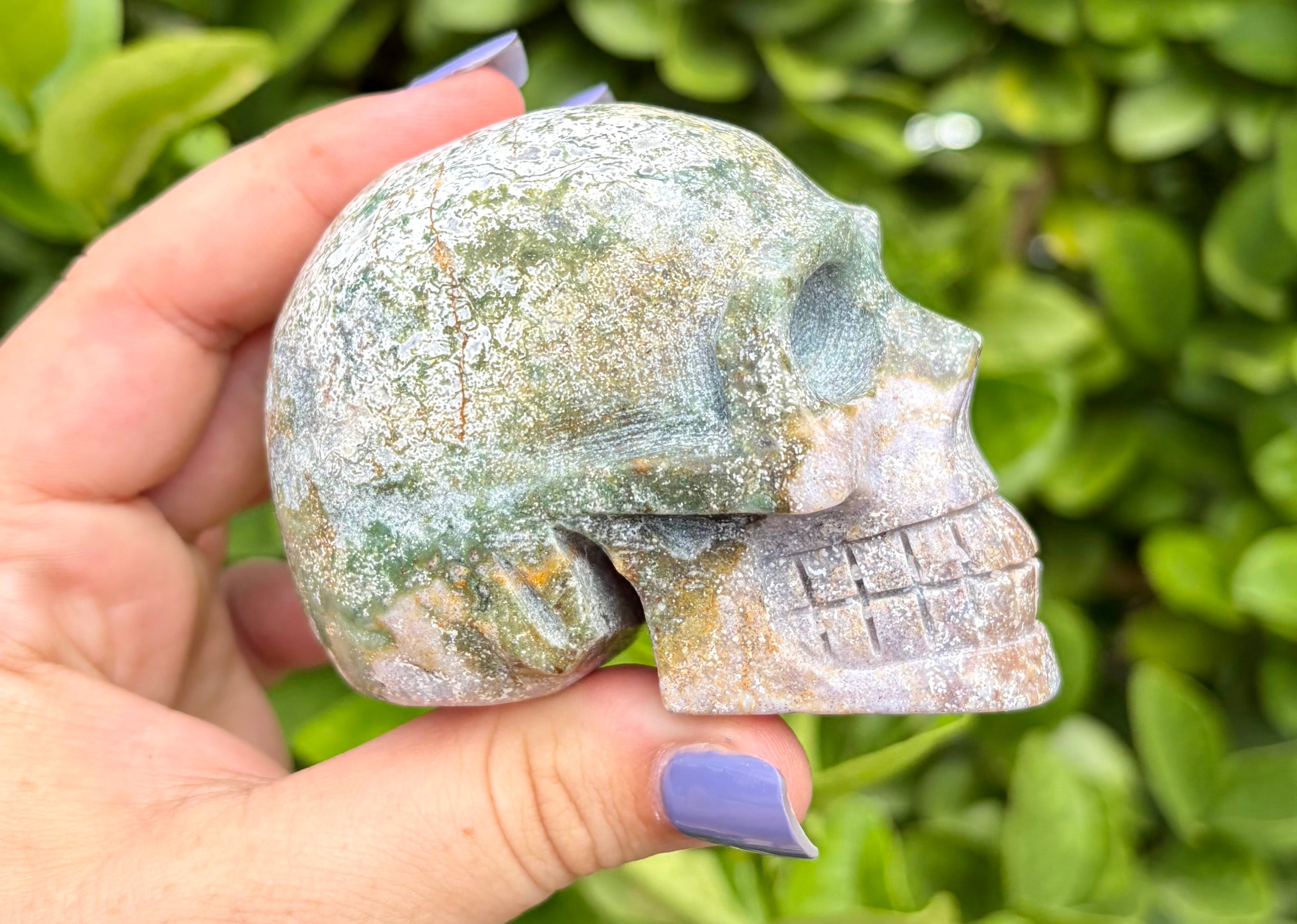 Ocean jasper skull
