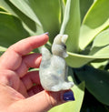 Labradorite fox