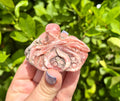 Rhodochrosite octopus