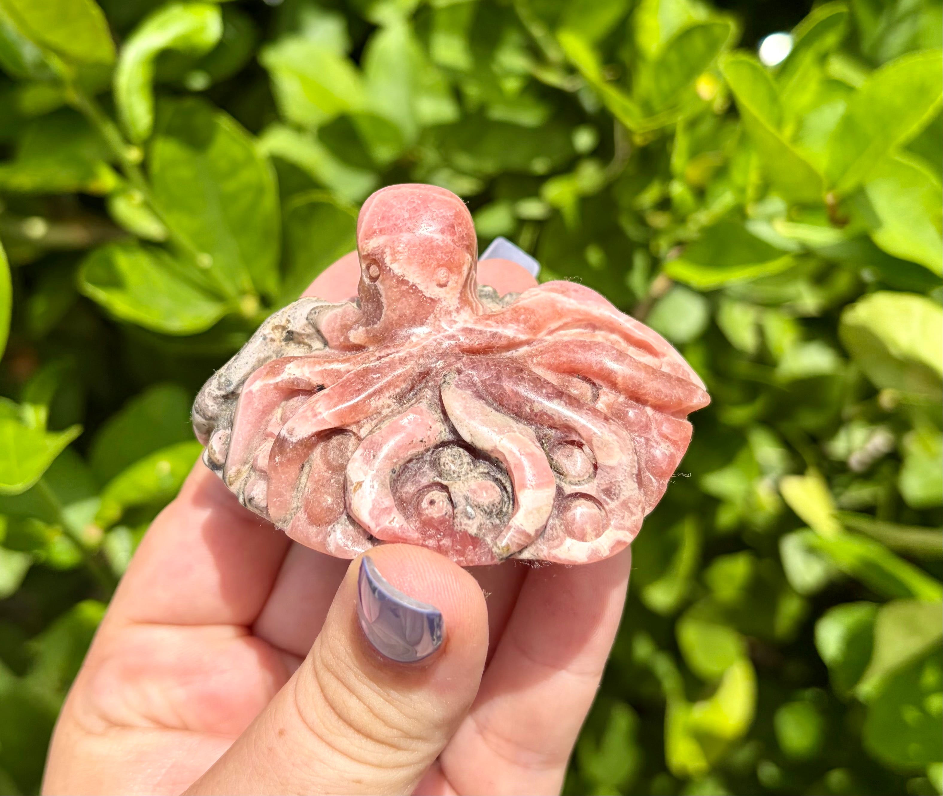 Rhodochrosite octopus