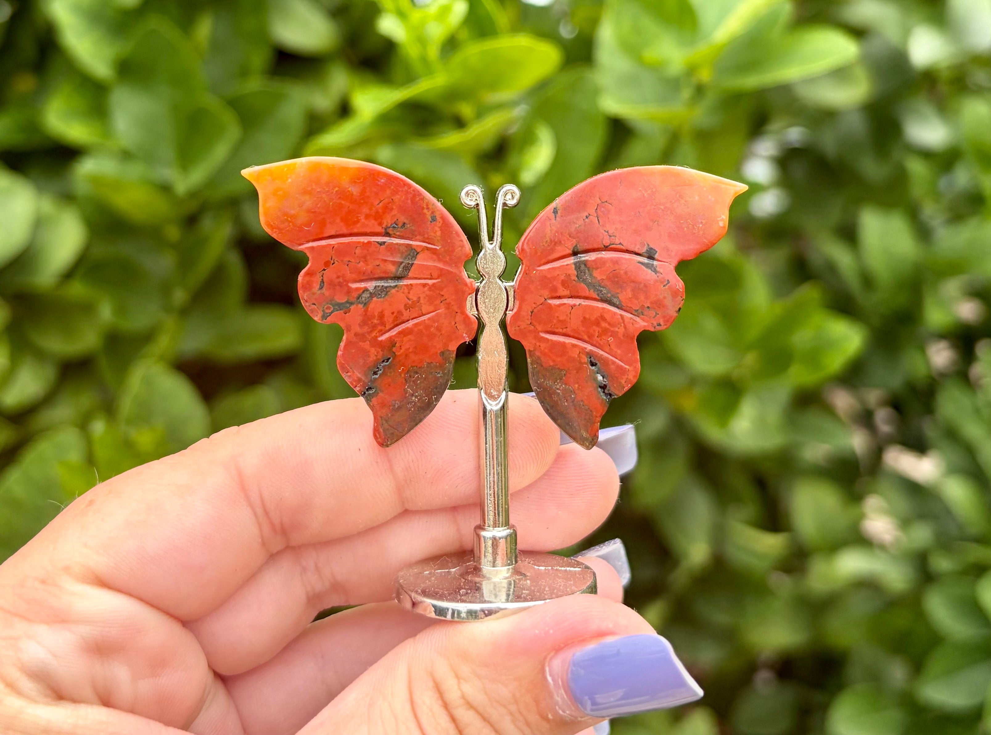 Mookaite small butterfly