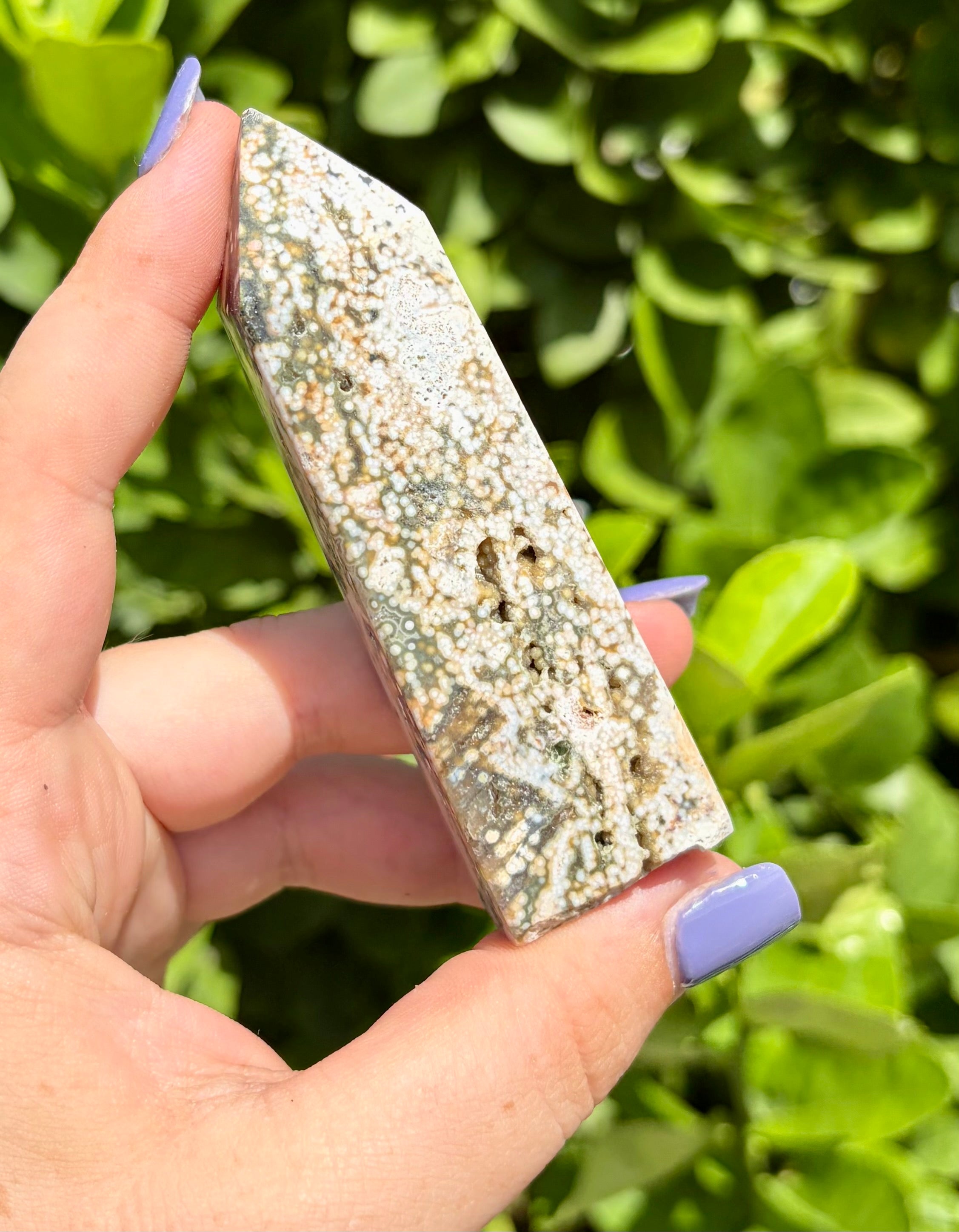 Orbicular ocean jasper