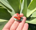 Red jasper butterfly on green Aventurine Lillie pad
