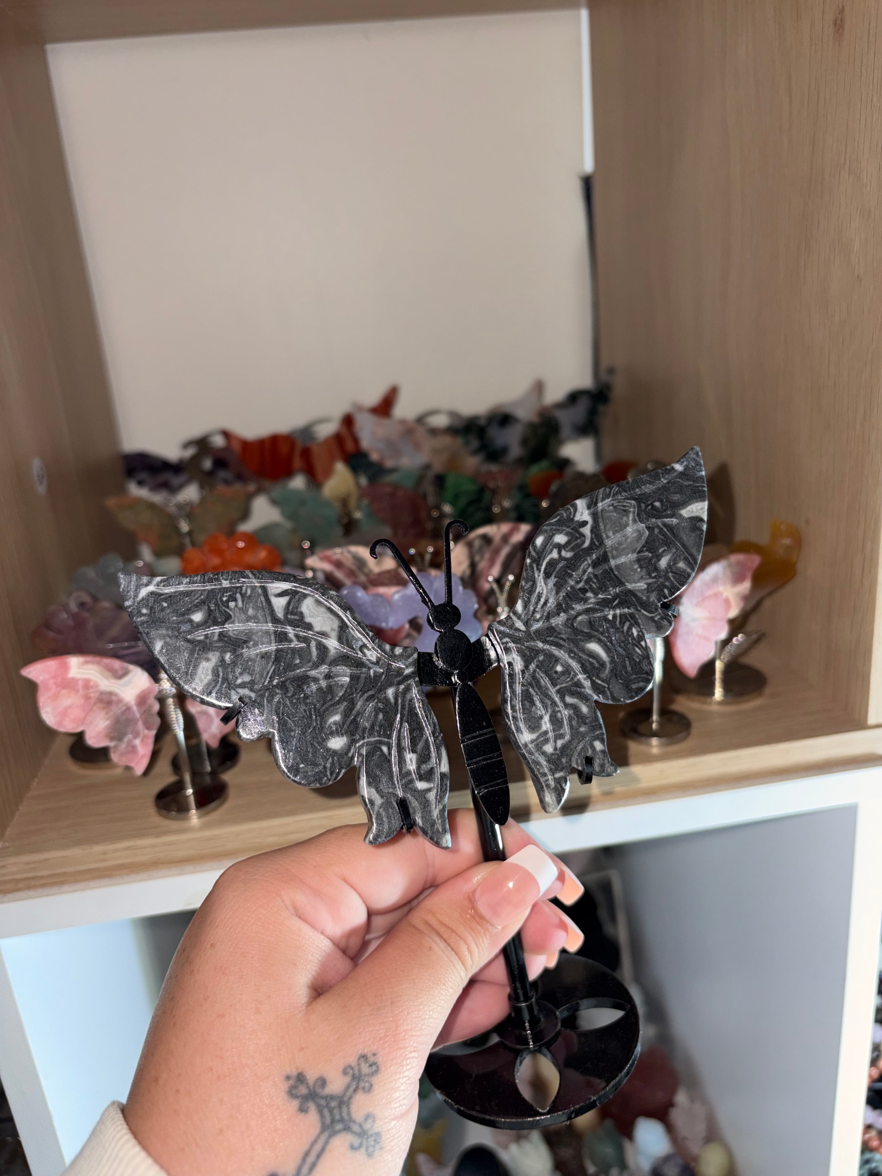 Shell stone butterfly wings