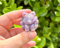 Amethyst 9tail fox
