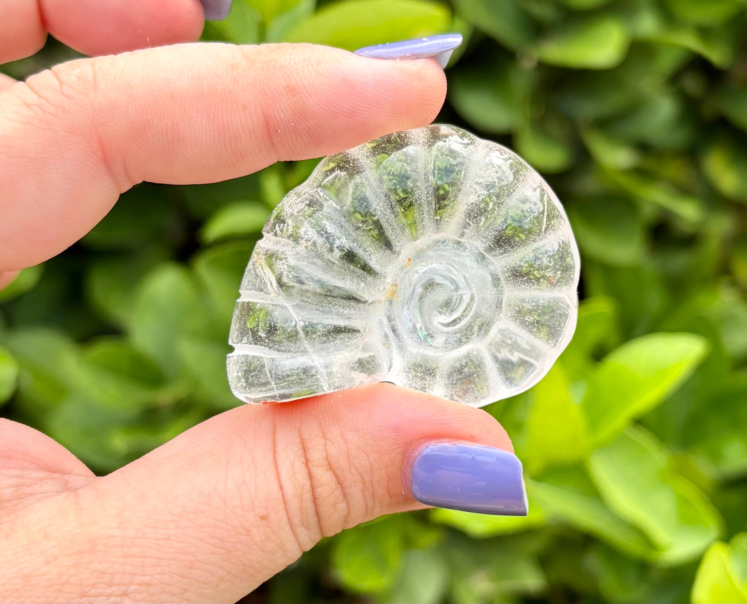 Clear quartz sea shell