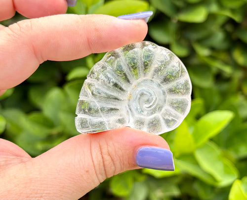 Clear quartz sea shell