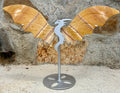 Yellow calcite dragon wings