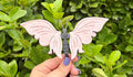 Pink opal butterfly wings