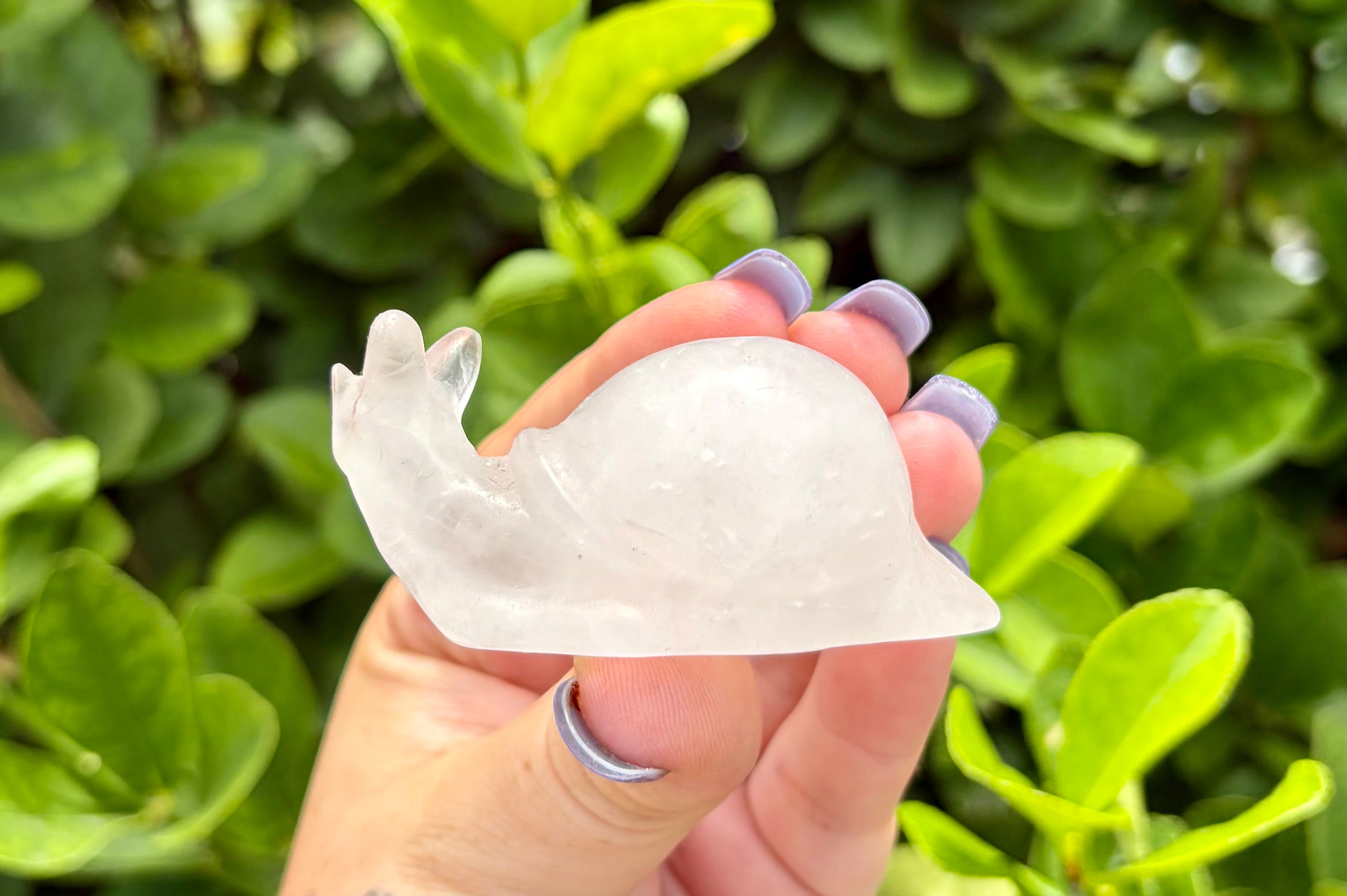 Clear quartz snail