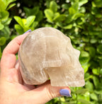 Smokey citrine skull