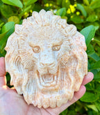 Sunstone lion head