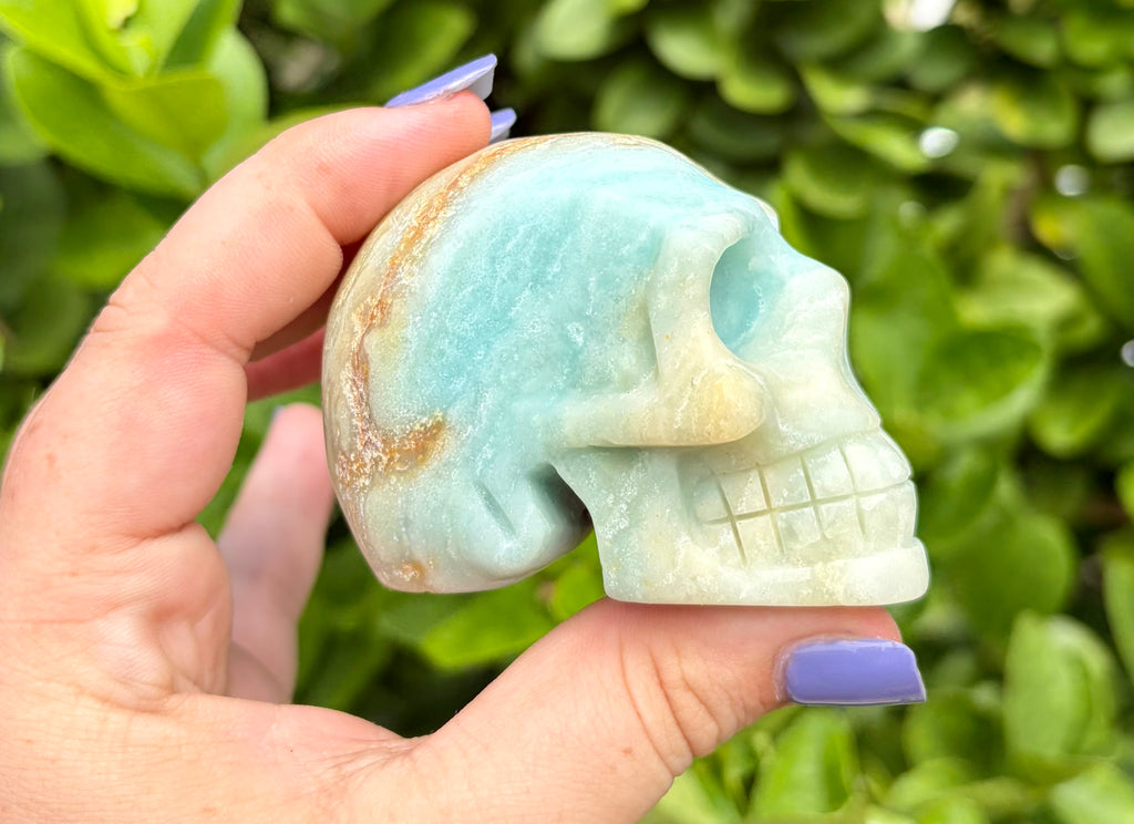 Caribbean calcite skull
