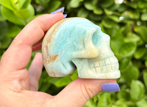 Caribbean calcite skull
