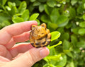 Tiger eye 9tail fox