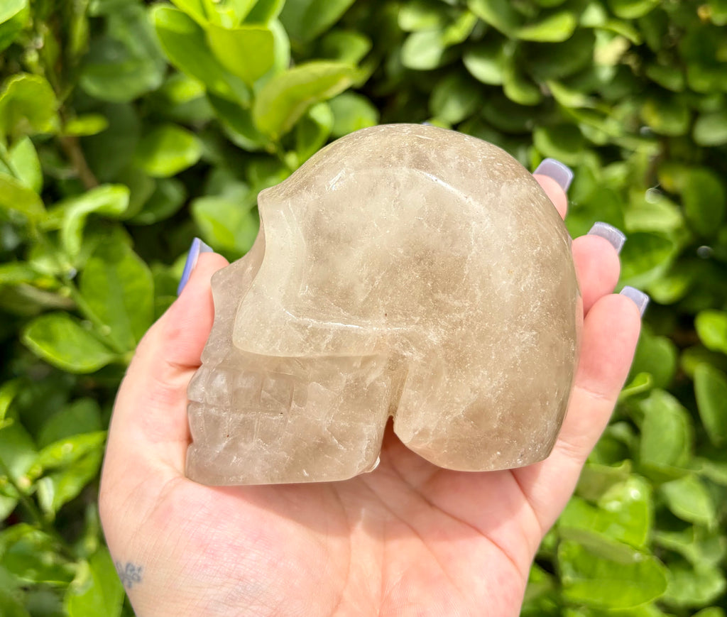 Smokey citrine skull