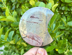 Picture jasper moon