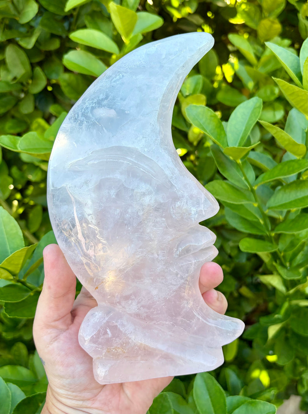 Large Rose quartz moon carving