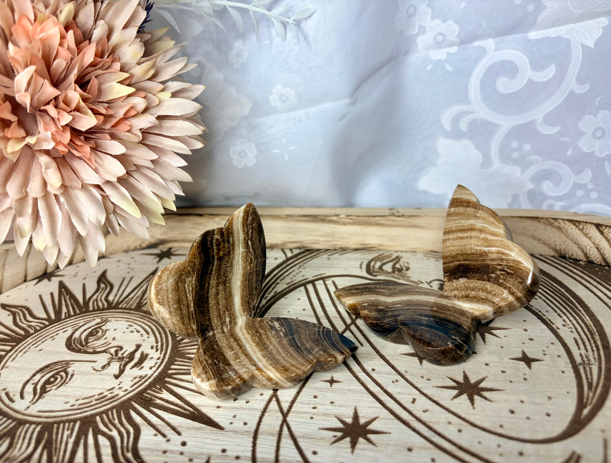 Chocolate calcite 3D butterflies 🦋
