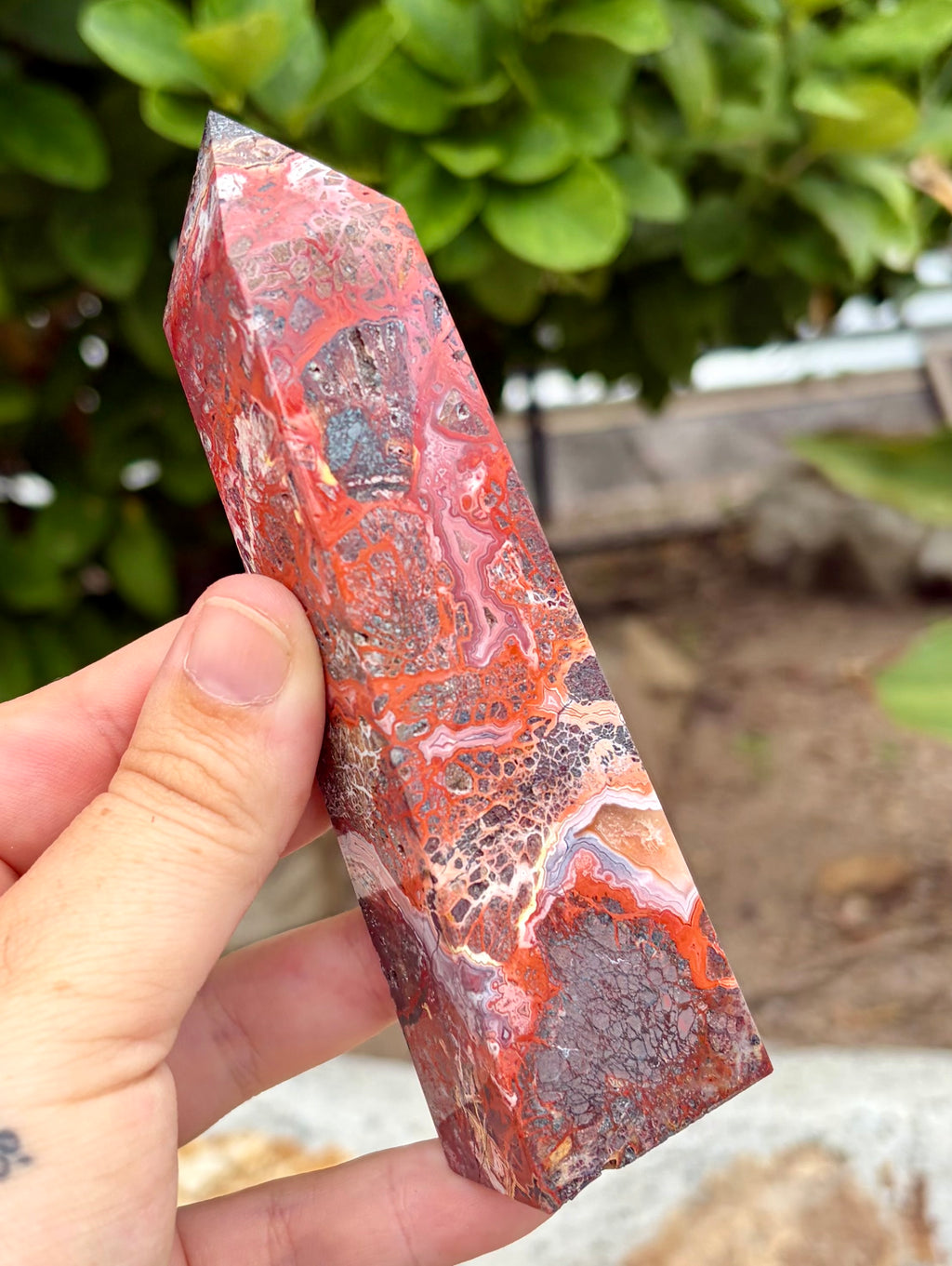 Red Mexican crazy lace tower