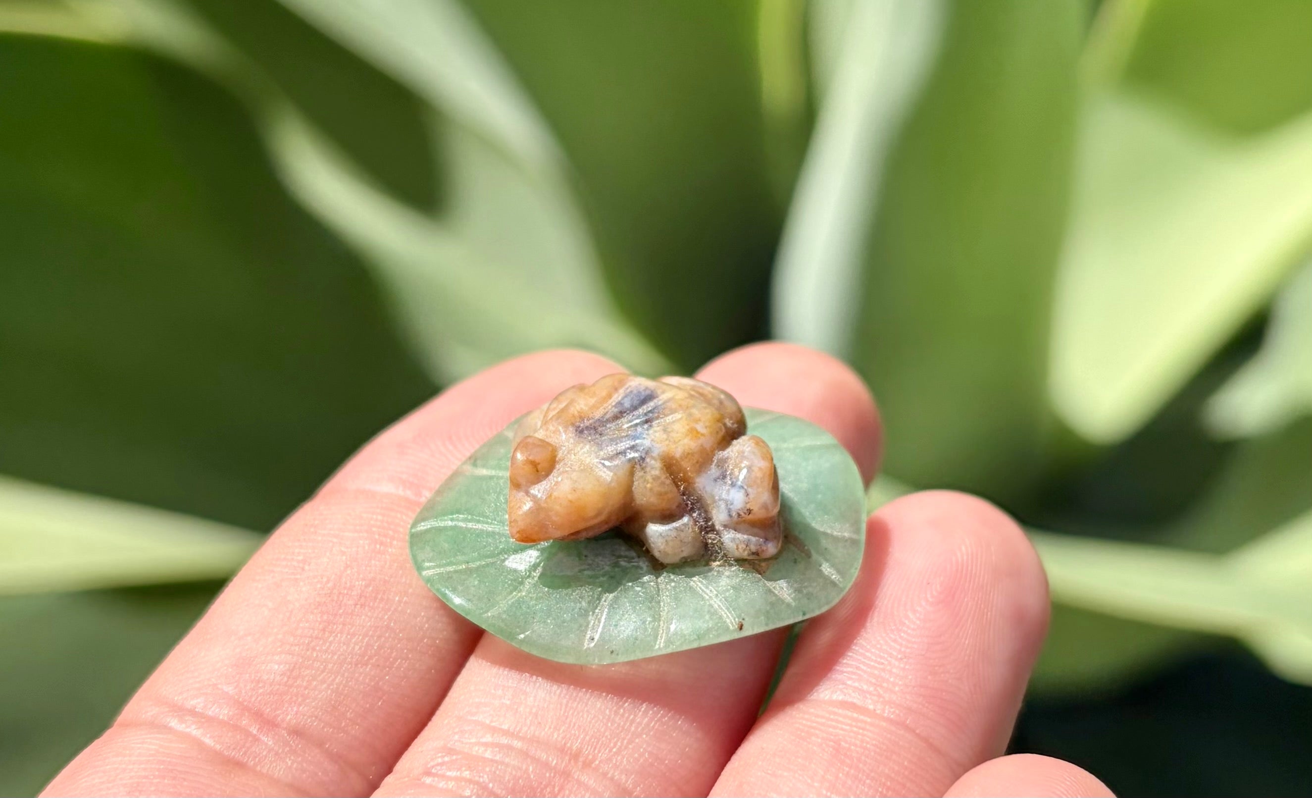 Crazy lace frog on green aventurine Lillie pad