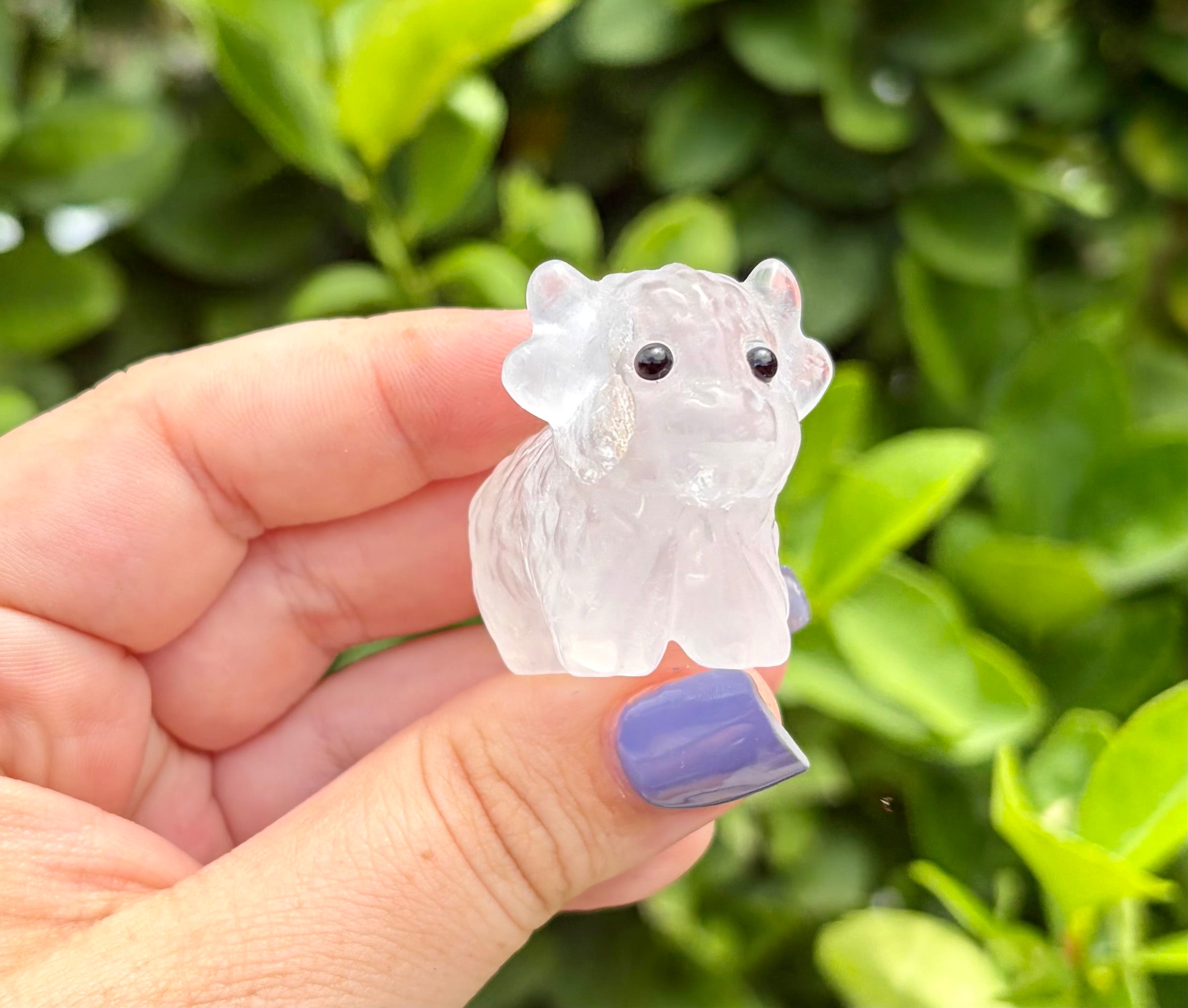Clear quartz highland cow A