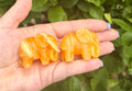 Yellow calcite elephant