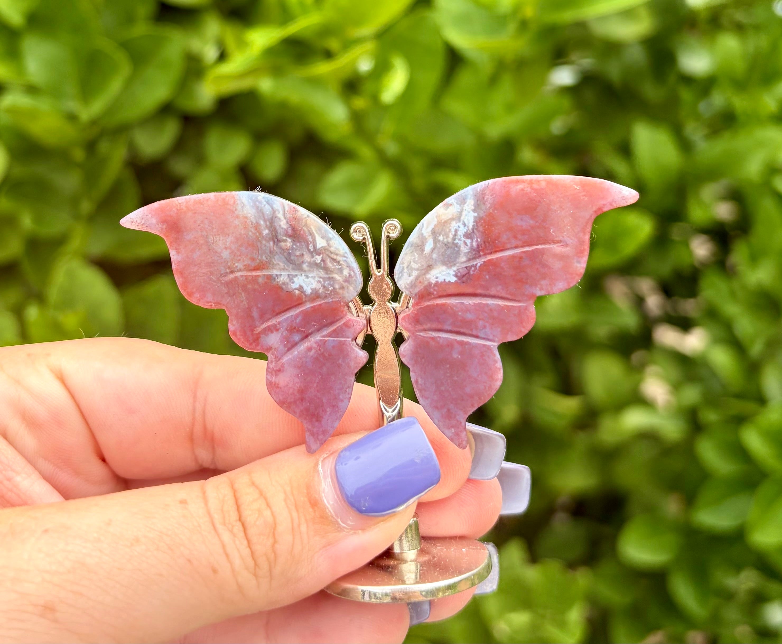 Ocean jasper small butterfly