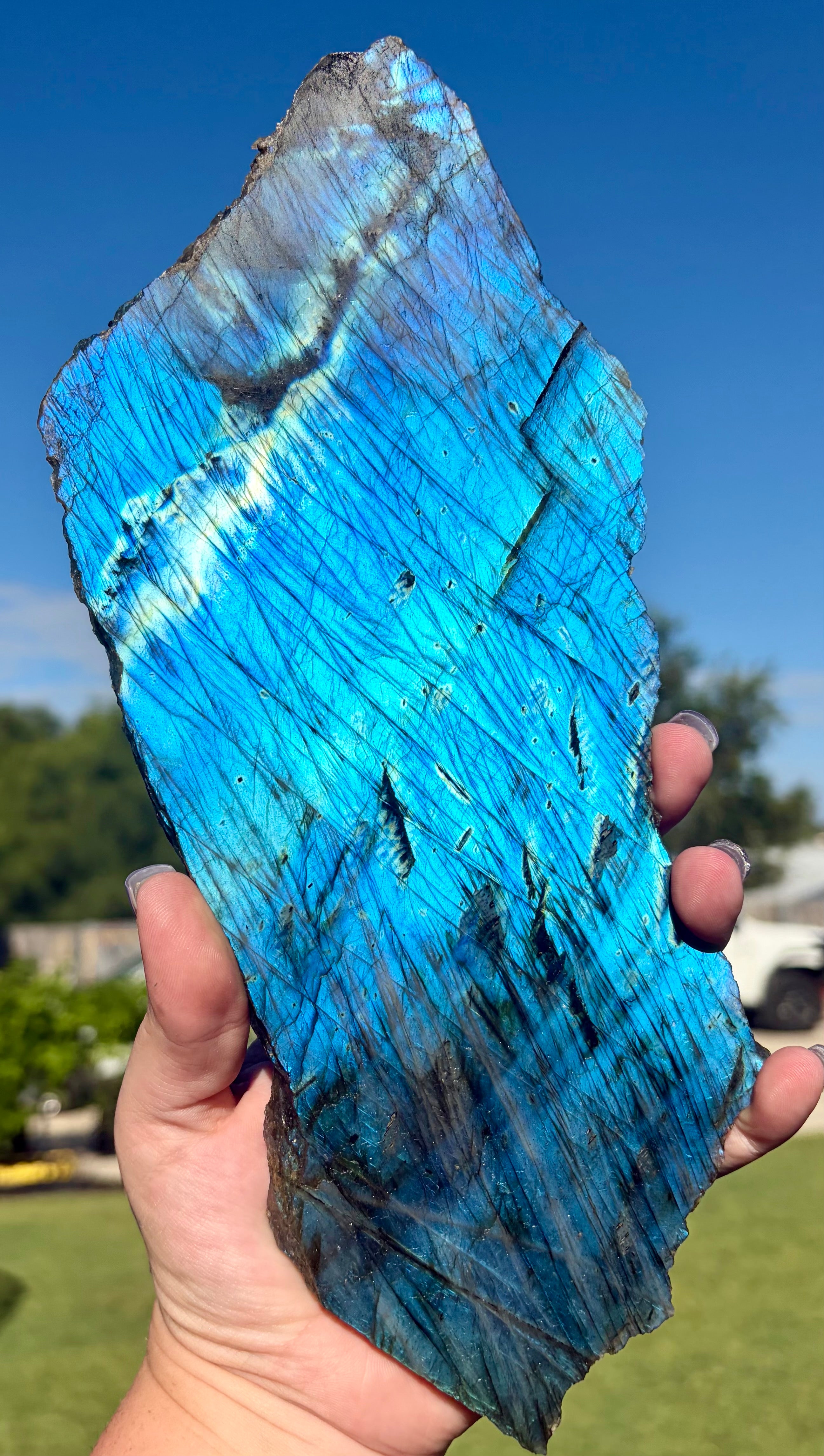 Electric blue labradorite large slab
