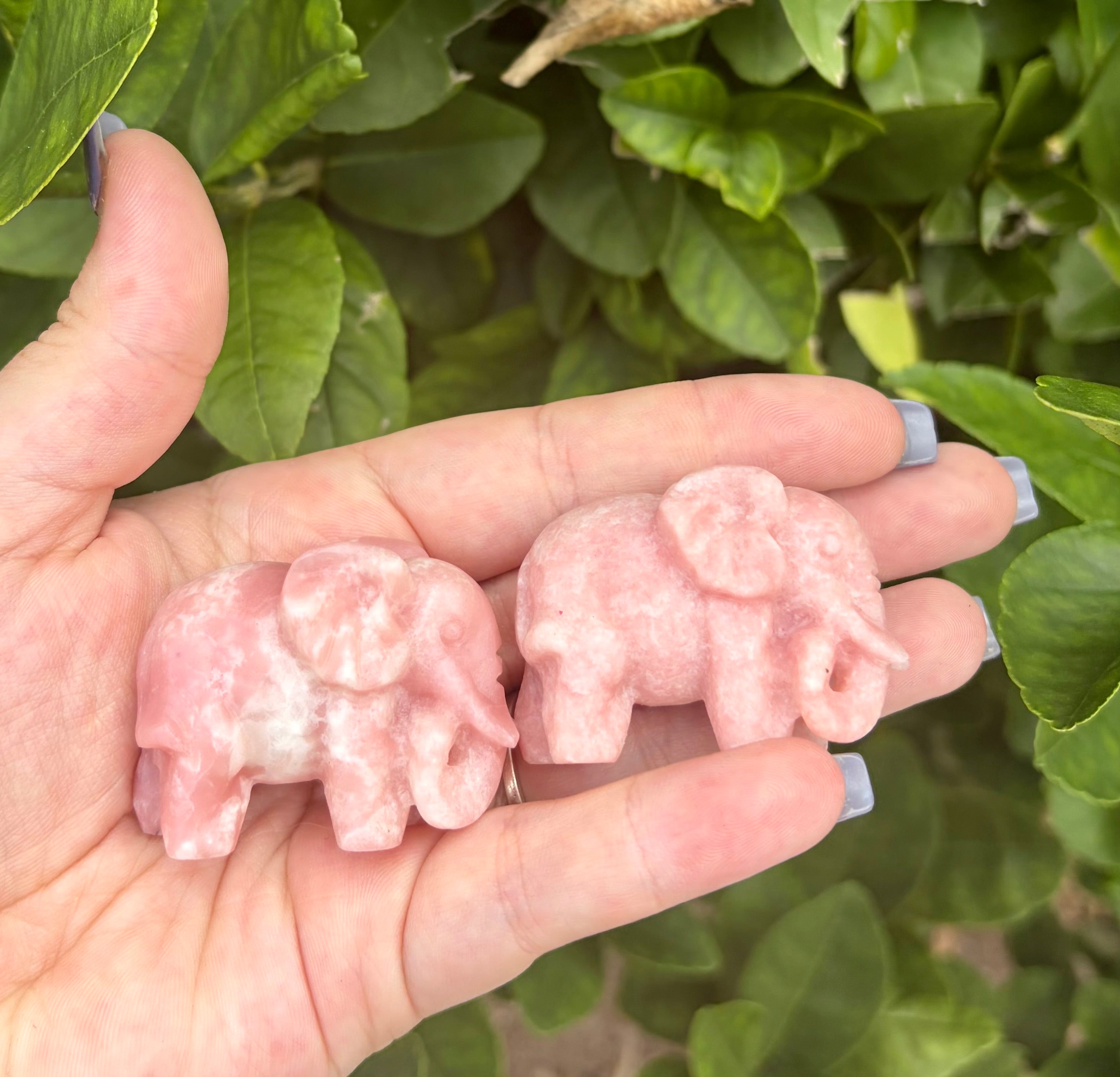 Pink opal elephant