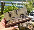 Picture jasper slab B