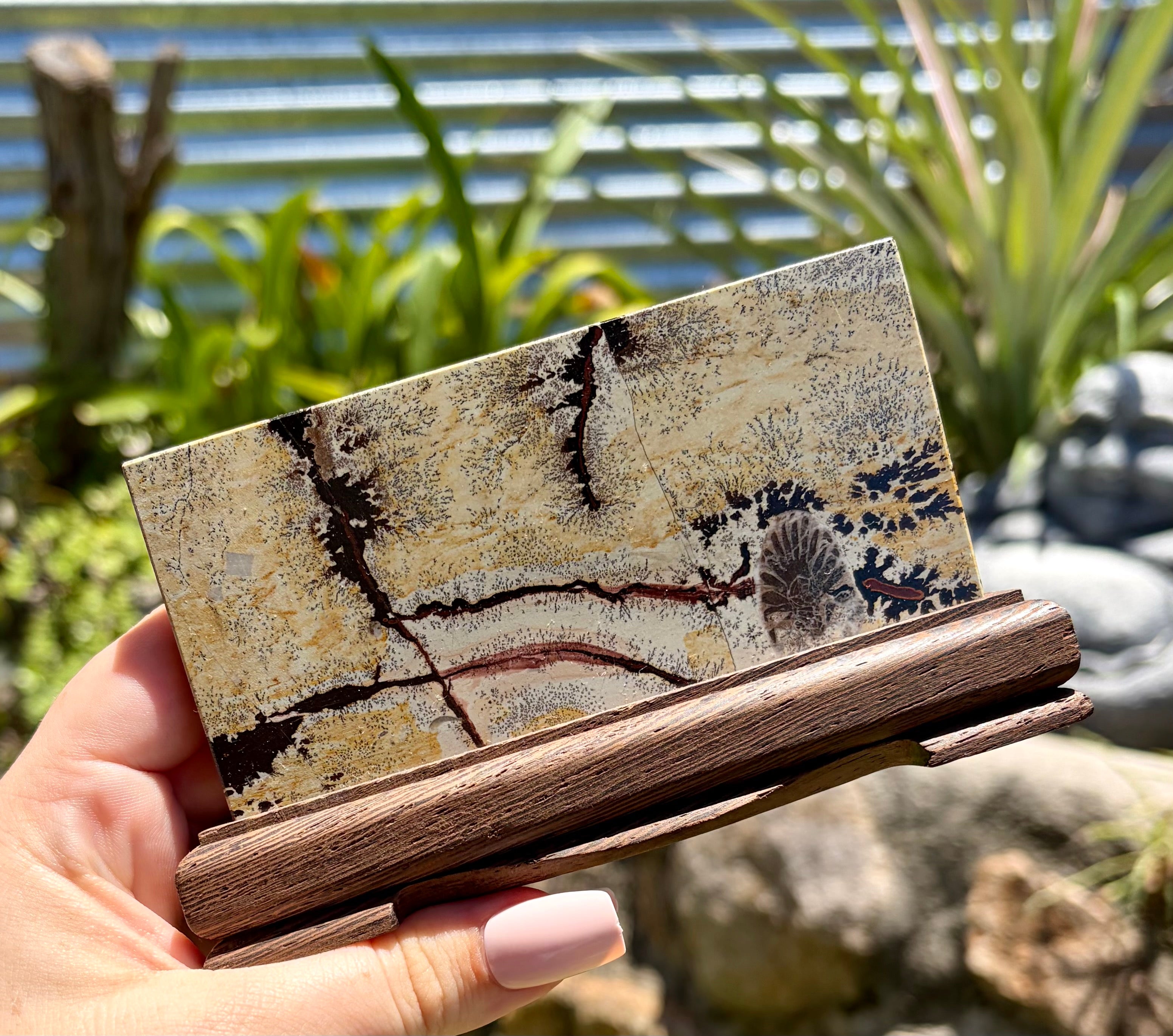 Picture jasper slab B