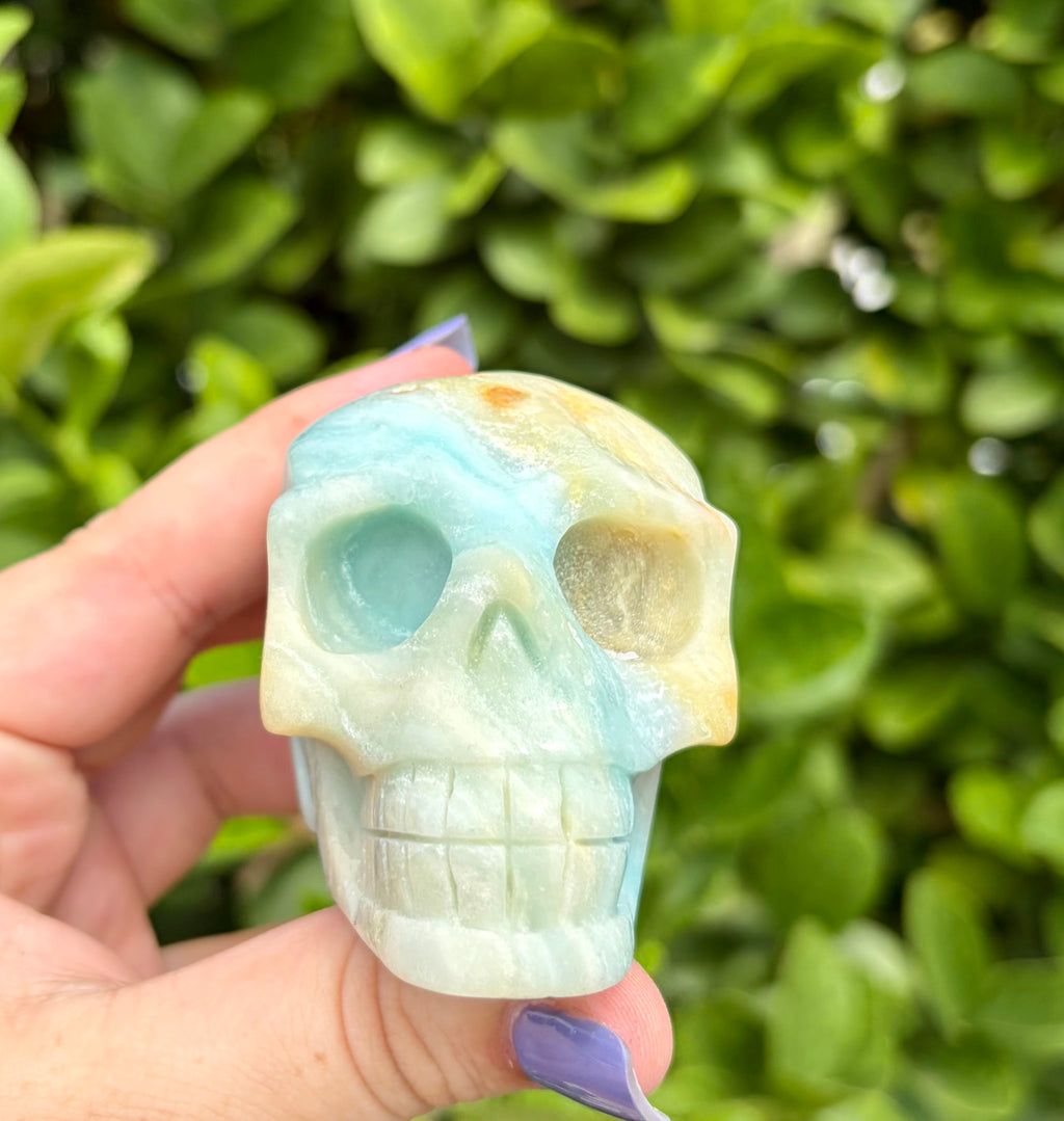 Caribbean calcite skull