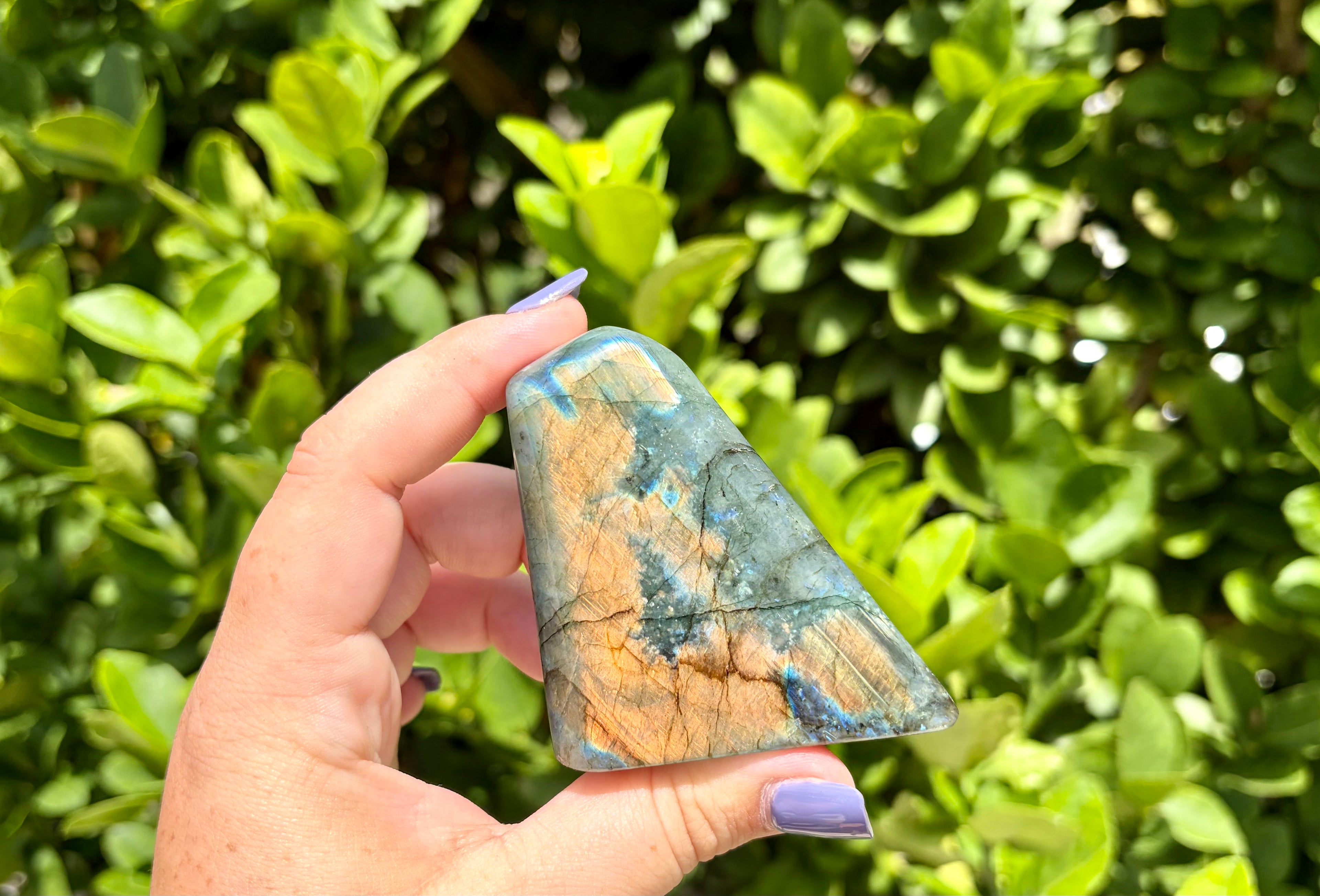 Orange flash labradorite Freeform