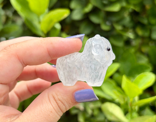 Clear quartz highland cow A