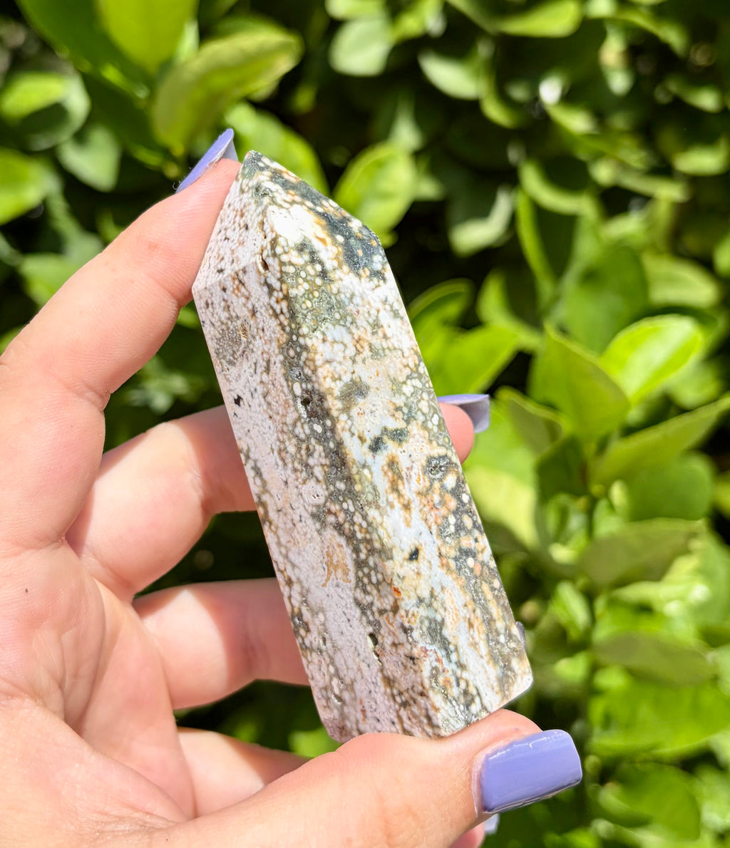 Orbicular ocean jasper