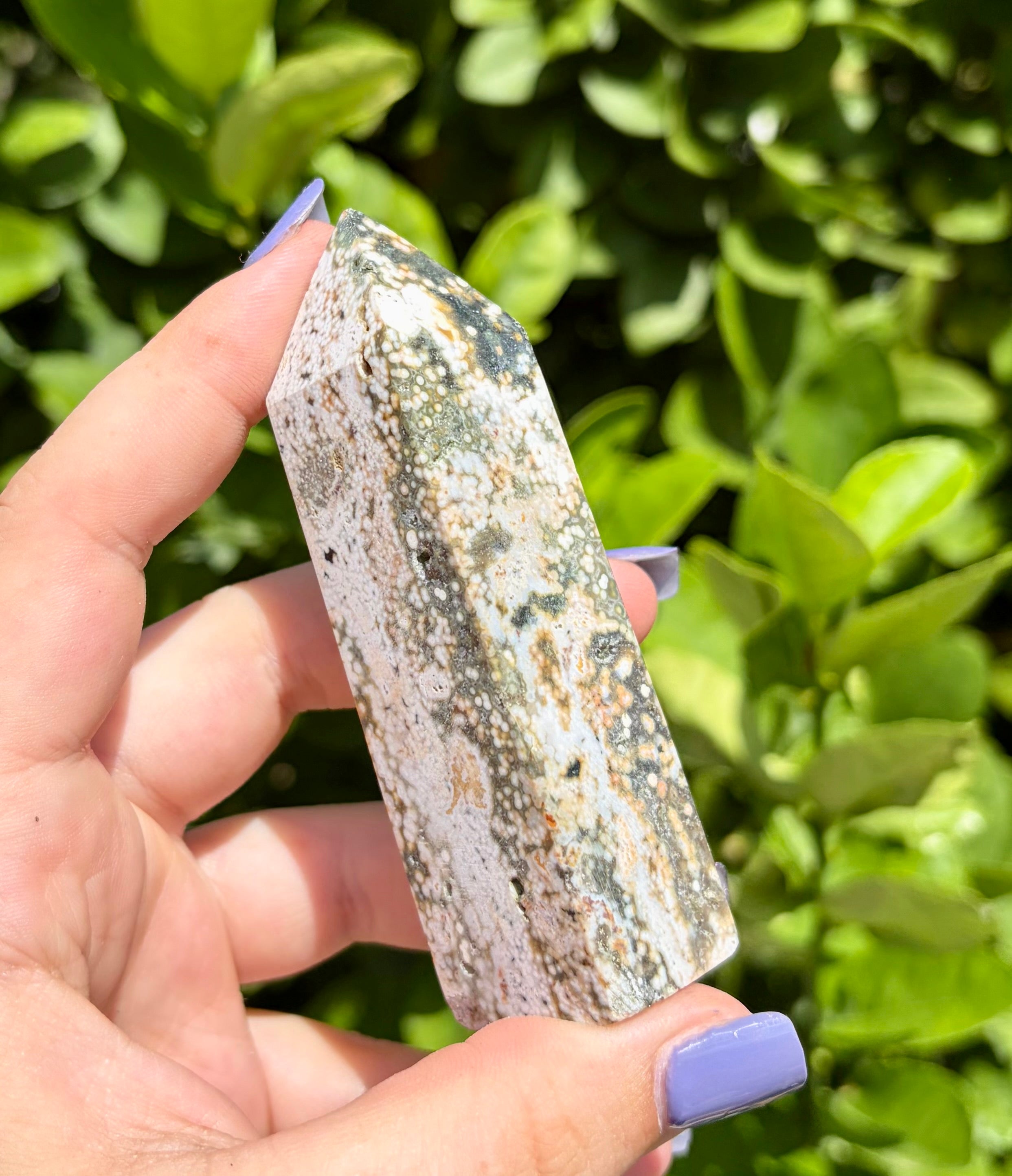 Orbicular ocean jasper