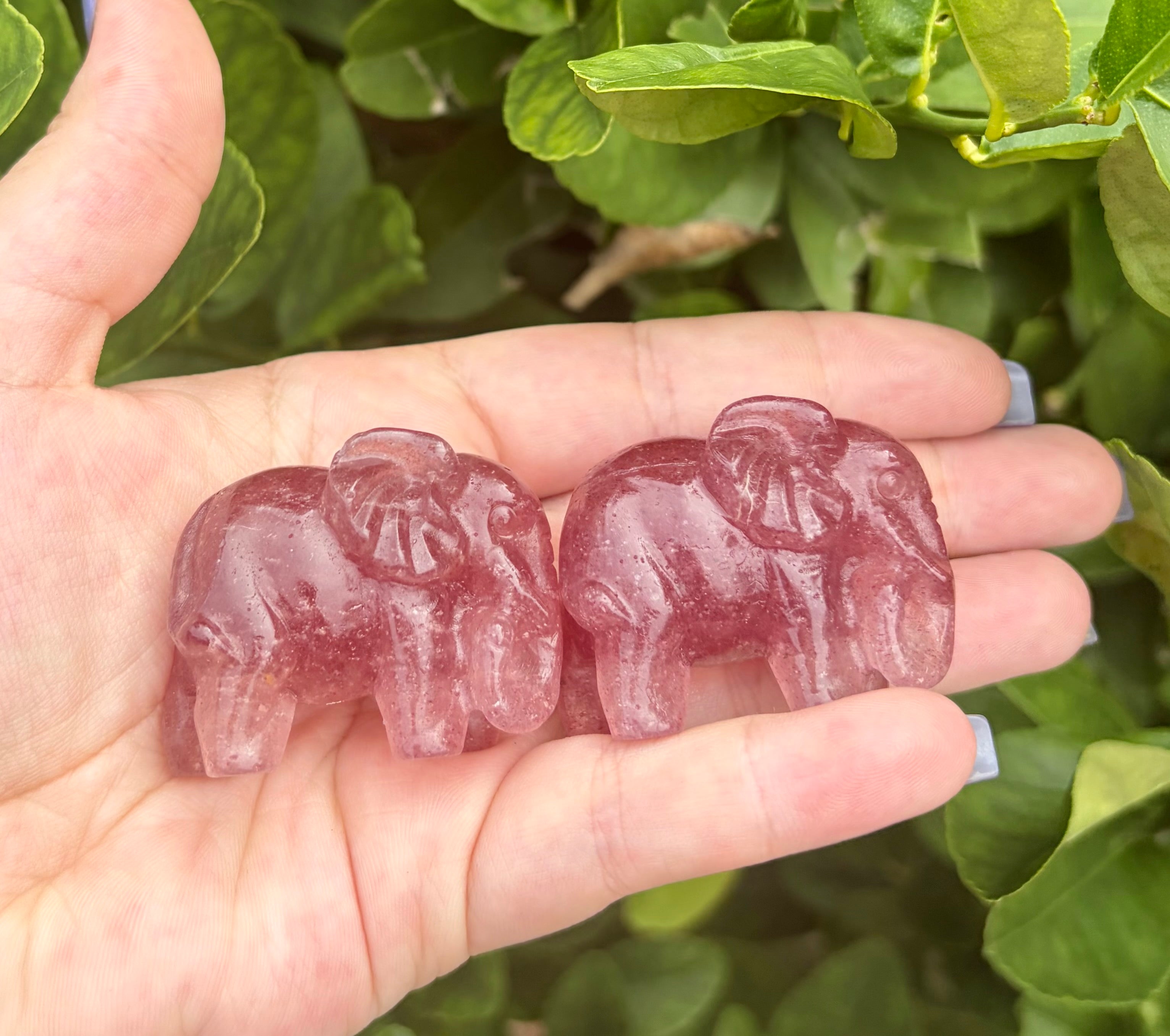 Strawberry quartz elephant