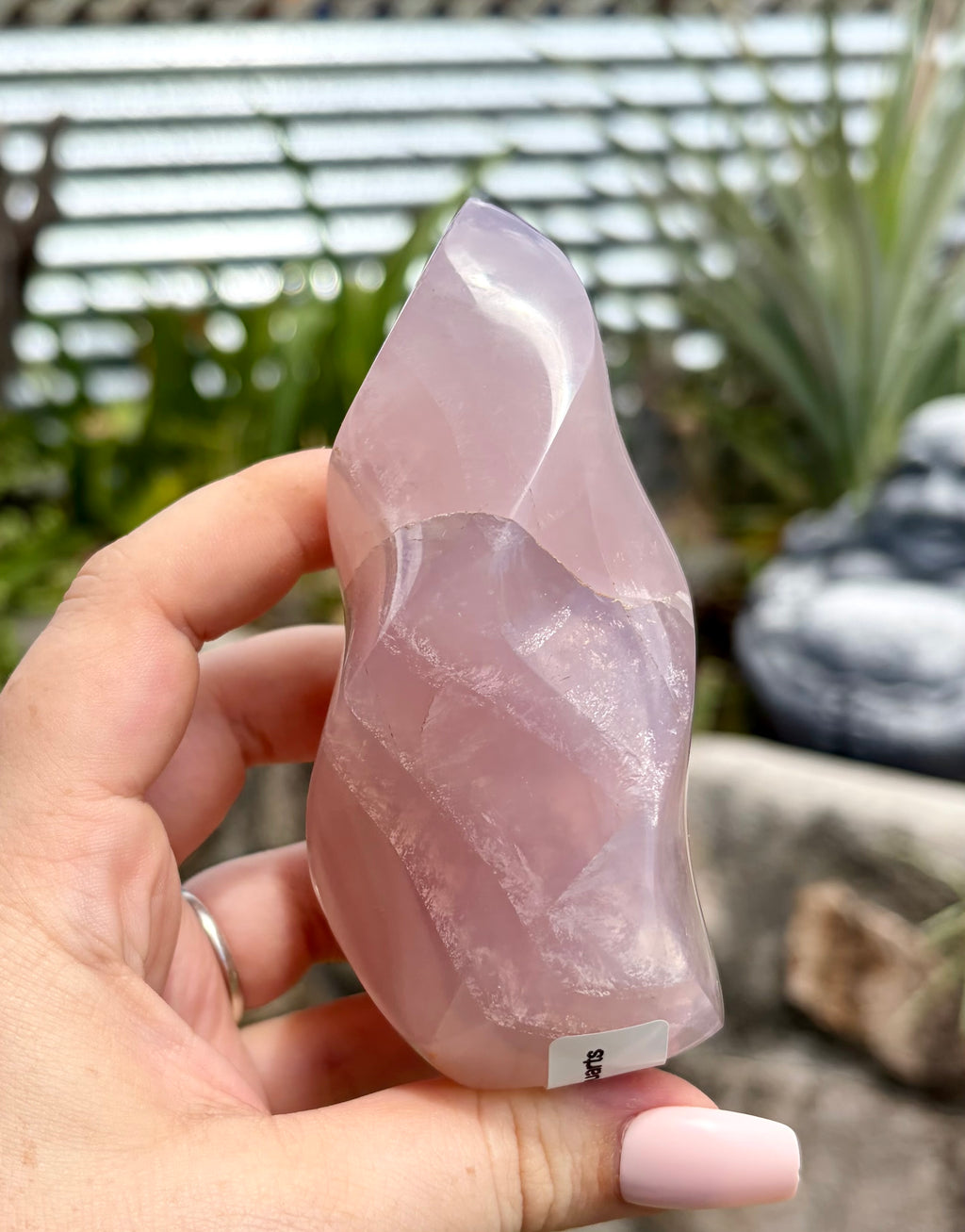 Lavender rose quartz flame