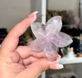 Fluorite starfish