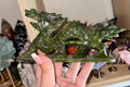 Green jade dragon