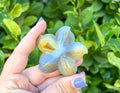 Agate starfish