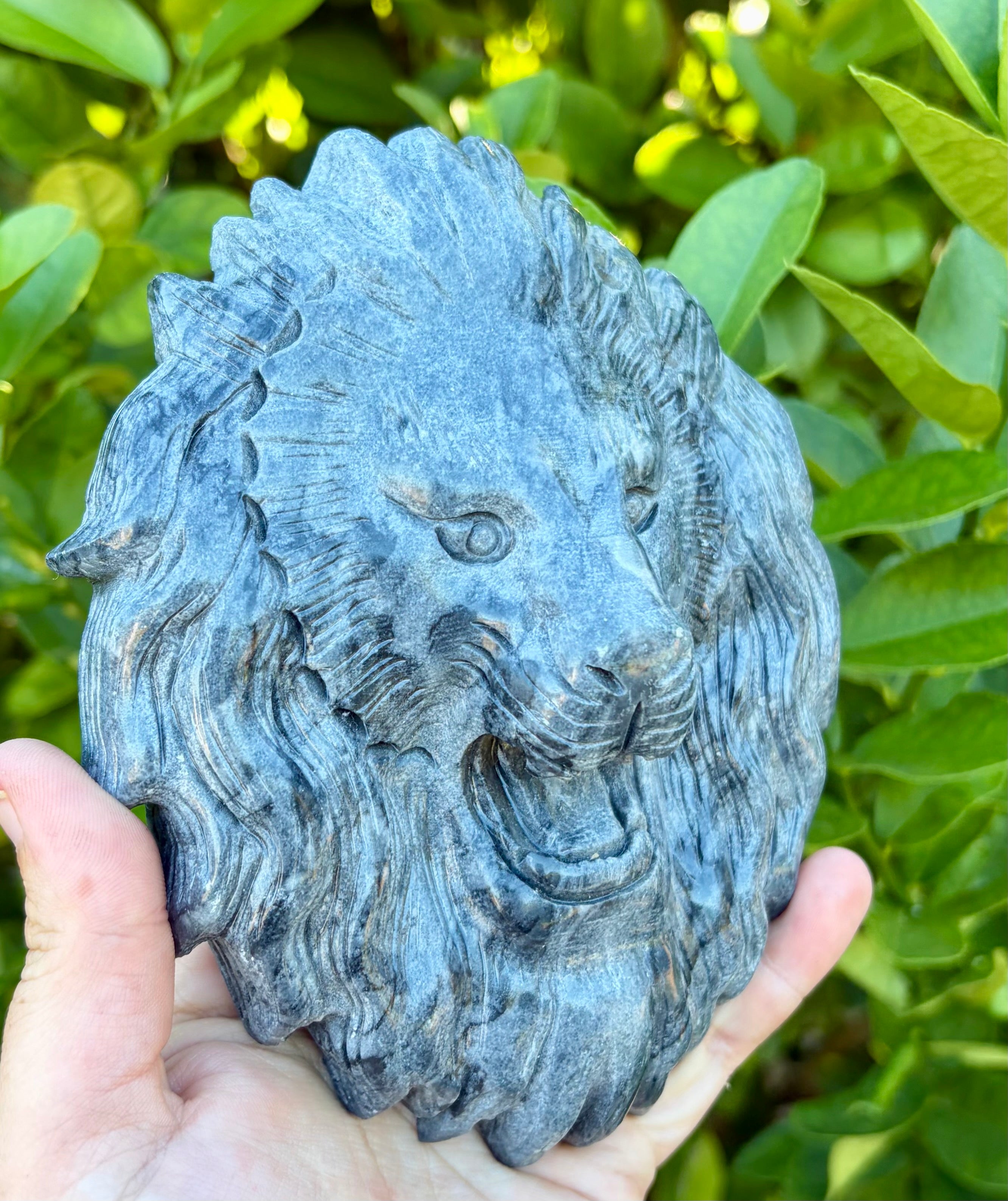 Grey Jade lion head