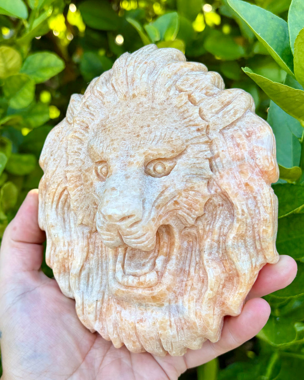 Sunstone lion head