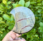 Picture jasper moon