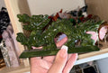 Green jade dragon
