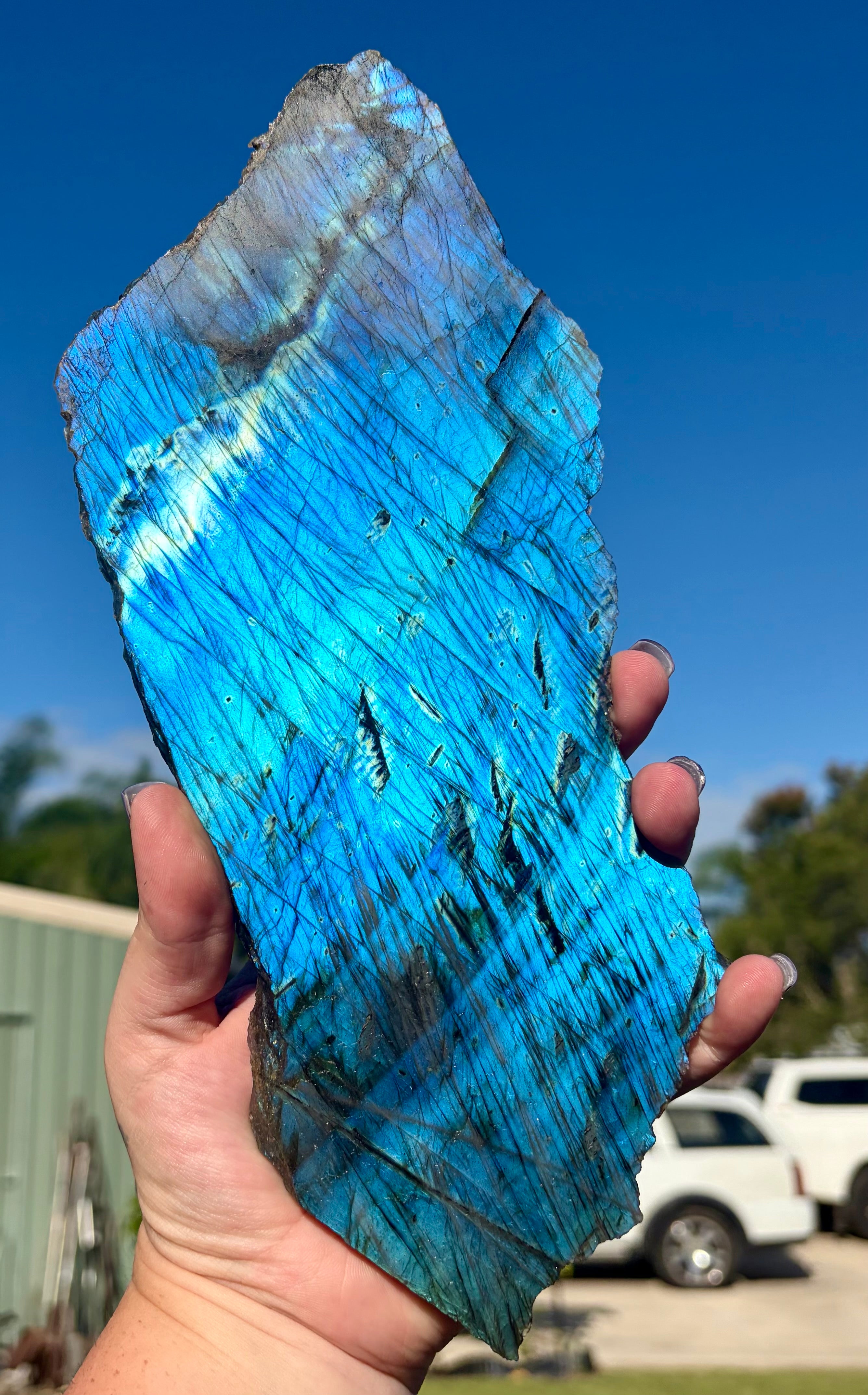 Electric blue labradorite large slab