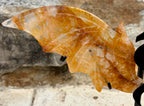 Golden healer dragon wings