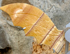 Yellow calcite dragon wings