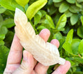 Rose quartz feather